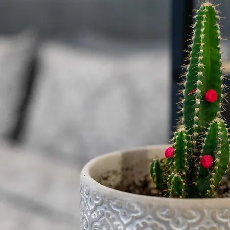 Nick's Crib Apartament *